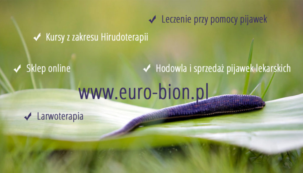 euro-bion