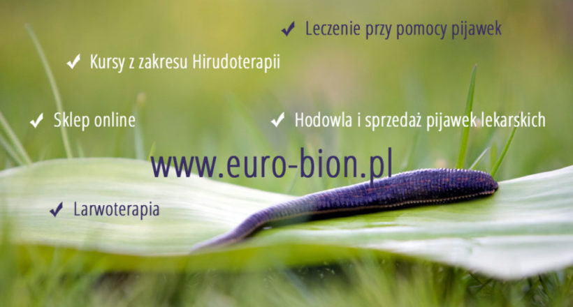 Google Plus euro-bion