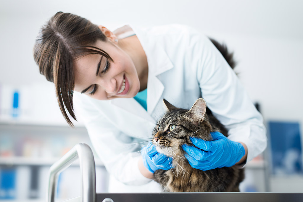 Hirudoterapia w weterynarii – jak stosować pijawki u zwierząt?