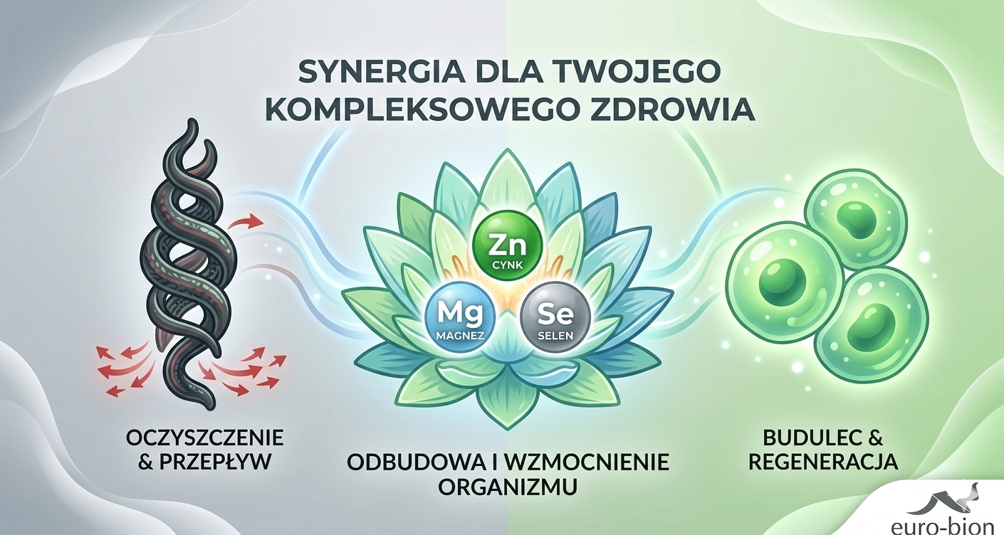 synergia dla twojego kompleksowego zdrowia