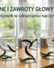 Szumy uszne i zawroty głowy – czy to problem z mikrokrążeniem? Rola pijawek w udrażnianiu naczyń.