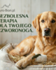 Hirudoterapia w służbie weterynarii – rewolucja w naturalnym leczeniu zwierząt